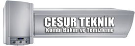 Cesur Teknik